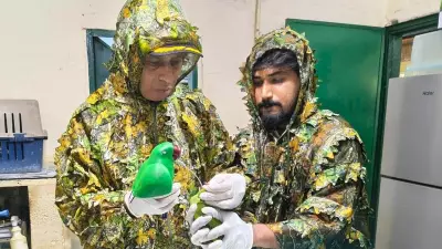 Bengaluru Engineering Students Design 3D-Printed Parakeet to Feed Rescued Chicks