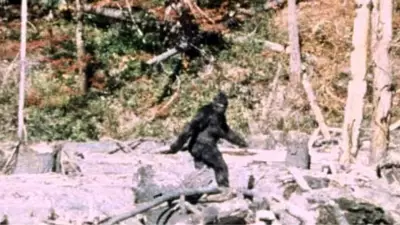 Bigfoot Sightings Surge in Northeast Ohio: Multiple Reports Spark Legend Revival