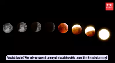 Celestial Spectacle: Witness the Rare 'Selenelion' with Blood Moon on March 3, 2026