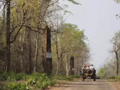 Chandrapur's Historic Pillars May Be Bhonsle Era, Not British: New Study