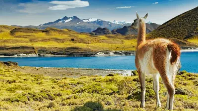 Chile Crowned Best International Destination: 5 Reasons It's Trending in 2026