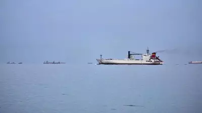 China's Strategic Masterplan to Navigate Global Fuel Crisis and Ensure Energy Security