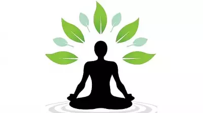 Confidence Illuminates Itself: The Key to Being Taken Seriously