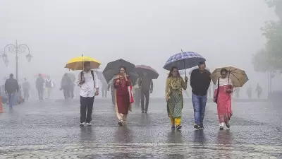 Consecutive Western Disturbances to Bring Rain, Snow to Northwest India