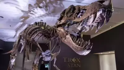 Crocodile Growth Study Challenges Dinosaur Age Calculations