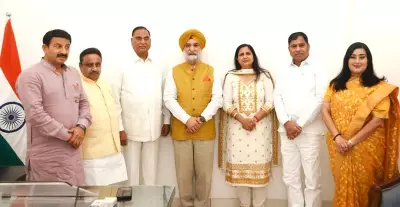 Delhi MPs Meet Lieutenant Governor VK Saxena, Extend Wishes on Assuming Office