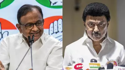 DMK-Congress Alliance Talks: Chidambaram Meets Tamil Nadu CM Stalin