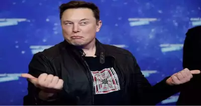 Elon Musk vs Sam Altman: AI Safety Debate Intensifies Over ChatGPT Deaths