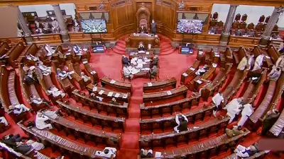 Explained: Why Rajya Sabha Elections Occur Every Two Years in India