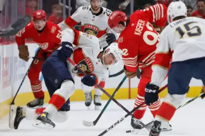 Florida Panthers End Losing Streak with 3-1 Victory Over Detroit Red Wings