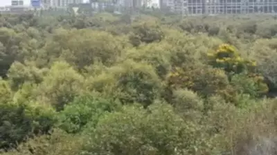 Former SC Judge Criticizes Massive Mangrove Felling for Mumbai Coastal Road