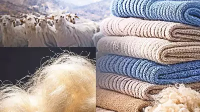 From Himalayan Goats to Global Luxury: The True Cost of Cashmere Revealed
