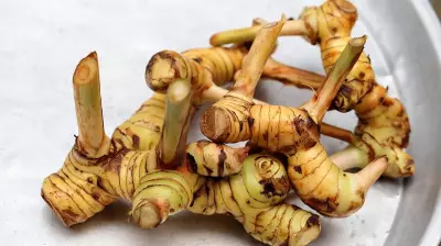 Galangal: The Essential Aromatic Root Defining Thai Cuisine's Signature Flavors