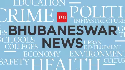 Ganjam District Seizes 12 Empty LPG Cylinders from Berhampur Food Units