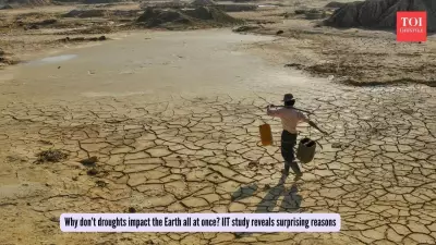 Global Drought Patterns Reveal Nature's Safety Net Against Simultaneous Crop Failures