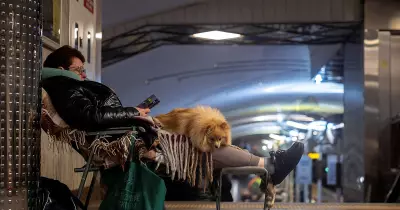 Global Photo Highlights: Gaza Displacement, Agra Harvest, Hyderabad Ram Statue