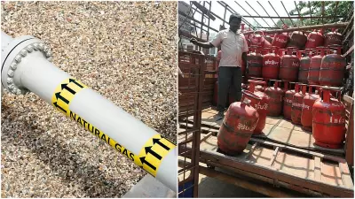 Government Prioritizes PNG Amid LPG Shortage: Key Differences Between Piped and Liquefied Gas