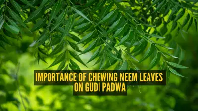 Gudi Padwa 2026: The Science and Symbolism Behind Eating Neem Leaves