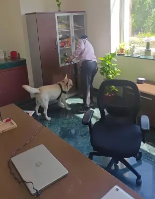 Gurgaon School Bomb Hoax: Police Launch Probe After Threat Email Triggers Major Scare