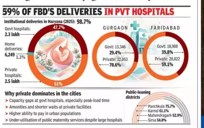 Haryana's Maternal Healthcare Divide: Gurgaon, Faridabad Lag in Public Hospital Deliveries