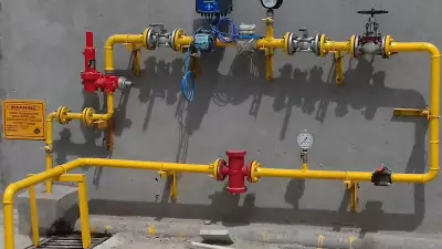 How to Switch from LPG to PNG: A Complete Guide to Check City Availability