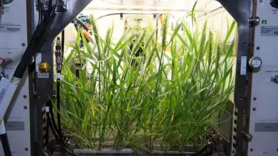 Human Waste Recycling Could Enable Farming on Moon and Mars, Scientists Reveal