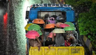Hyderabad Evening Rain Causes Traffic Chaos, 14 Trees Fall in IT Corridor