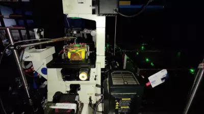 IISc Researchers Pioneer Magnetic Microbots to Steer Quantum Sensors Inside Living Cells