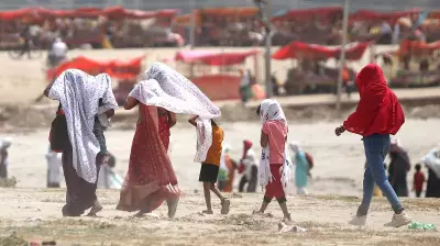 IMD Forecasts Above-Normal Heatwave Days for East, Central, and Northwest India