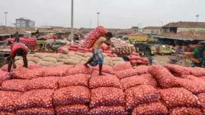 India's Informal Sector Adds 7.5 Million Jobs in 2025, Signaling Economic Recovery