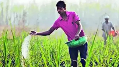 India's Kharif Season Fertilizer Supply at Risk from Hormuz Blockade