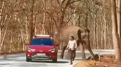 Karnataka Budget 2026 Prioritizes Wildlife Conflict Mitigation and Afforestation