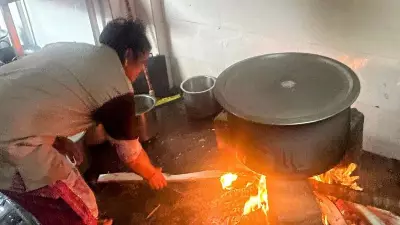 Karnataka Forest Department Suspends Firewood Auctions Amid LPG Supply Concerns