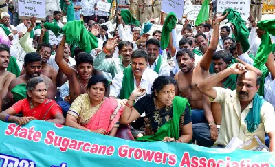 Karnataka Sugarcane Growers Demand Chunchanakatte Factory Reopening by Summer