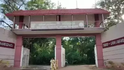 Karnataka Zoos Boost Safety After Tragic Vet Death at Shivamogga Zoo