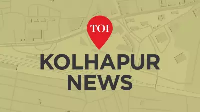 Kolhapur: 20 Injured in Separate Honey Bee Attacks Over Two Days