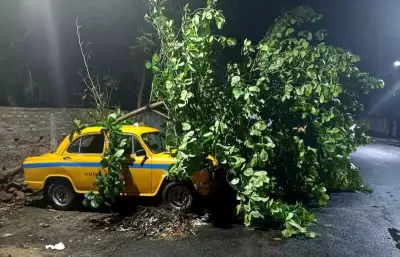Kolkata's Concrete Crisis: Nor'westers Uproot 40+ Trees, Exposing Urban Planning Failures