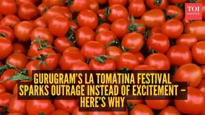 La Tomatina Festival in Gurugram Sparks Safety and Food Wastage Debate