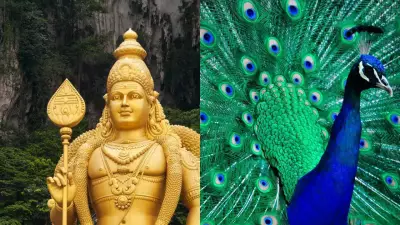 Lord Kartikeya's Peacock: Symbol of Victory, Spiritual Power in Hindu Mythology