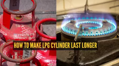 LPG Shortage Crisis: 5 Pressure Cooker Recipes & Hacks to Extend Cylinder Life