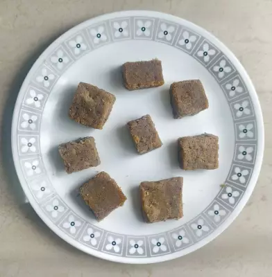 Ludhiana Veterinary University Unveils G-E-M Balls and Core-3 Energy Delight