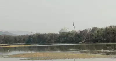 Maharashtra's Flamingo Wetlands Face Toxic Crisis in Navi Mumbai Lakes