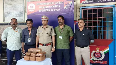 Mangaluru Central Railway Station Seizes Rs 5.06 Lakh Worth of Dry Ganja