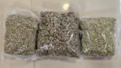 Mangaluru Police Seize 11 Kg of Ganja, Arrest Two in Major Drug Bust
