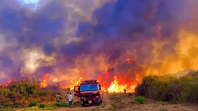 Massive Wildfire Ravages Karnataka's Chamarajanagar Forests, Causing Extensive Damage