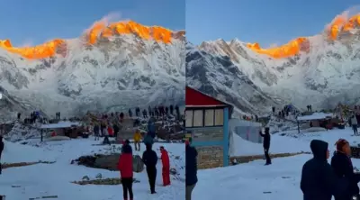 Mount Annapurna's Golden Sunrise Moment Captivates Social Media Worldwide