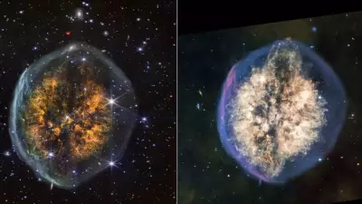 NASA Schedules Two Critical Spacewalks for ISS Maintenance and Power Upgrades