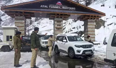 Over 300 Tourist Vehicles Rescued from Himachal Snow, Atal Tunnel Road Remains Closed