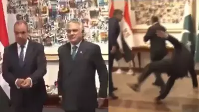 Pakistan Deputy PM Ishaq Dar Stumbles at Egyptian FM Welcome Ceremony
