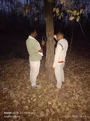 Pench Tiger Reserve Deploys AI System to Prevent Human-Wildlife Conflict